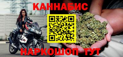 спиды Кингисепп