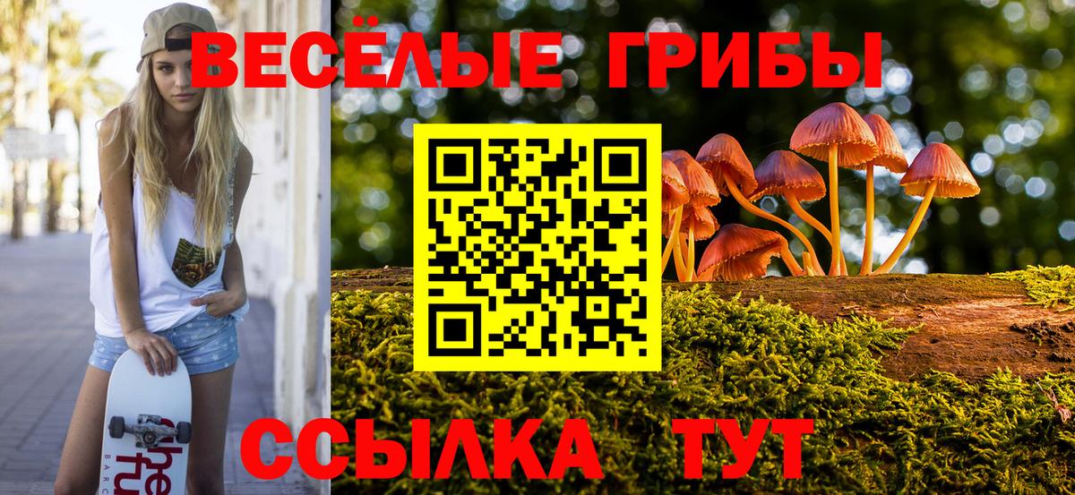 Галлюциногенные грибы Cubensis Сальск