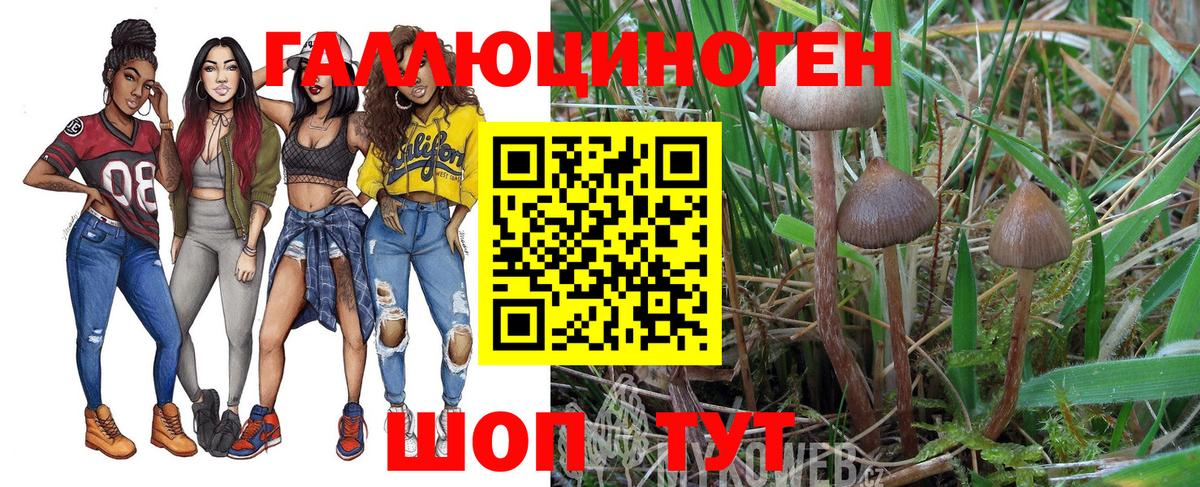 Псилоцибиновые грибы GOLDEN TEACHER  Галлюциногенные грибы GOLDEN TEACHER  Вход с VPN  Сальск 
